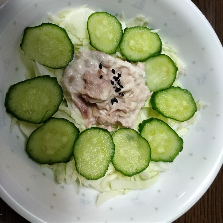 キャベツときゅうりで ツナマヨサラダ